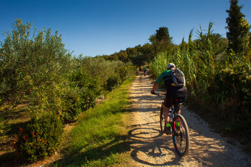 Fototapeta na wymiar Mountain Bike cyclist riding countryside track in Strunjanj, Slovenia