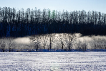 北海道冬の風景　更別村の樹氷と気嵐
