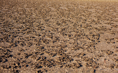  Salt evaporation ponds in Strunjan, Slovenia