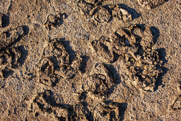  Salt evaporation ponds in Strunjan, Slovenia