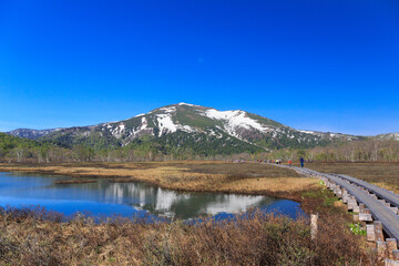 Naklejka premium 尾瀬国立公園 残雪の至仏山