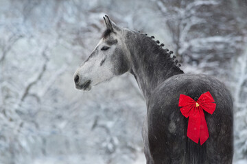 White horse with braided main with red christmas decoration