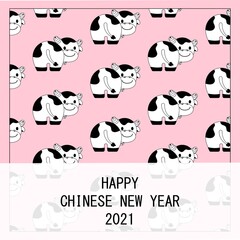 Illustration vector pattern cute cartoon background of cow or ox for happy Chinese New Year 2021 year of ox or cow concept for 'Angbao' or Chinese money enverlope or greeting card design.