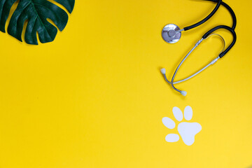 Medical stethoscope and dog paw print on yellow background. World rabies day concept.