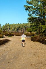 Exercise over Frensham common,