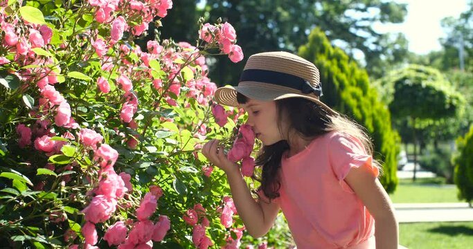 Portrait of pretty Caucasian girl of preschool age with long brown hair in a pink T-shirt and straw hat, smiling at the camera, smelling  roses  in a park on sunny day. 4k 50 fps slow motion