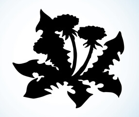 Blooming dandelion. Vector drawing icon