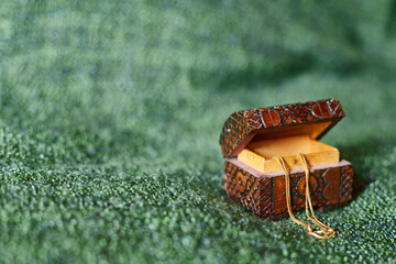 A tiny ornamented wooden jewelry box on green background, with a golden chain hanging from it,...