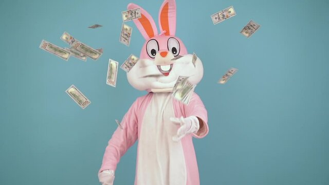 Easter bunny or rabbit or hare hold fan of dollar, throws dollars, money falls. Easter rabbit with dollars isolated on blue background, celebrate Happy easter.