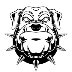 Vector illustration of a bulldog. Angry bulldog for a t-shirt. Be aware of dogs.