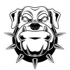 Vector illustration of a bulldog. Angry bulldog for a t-shirt. Be aware of dogs.