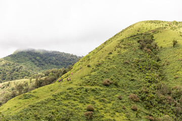 Group of hikers walking on a mountain. Friends in hiking in high mountains. Climbing group friends walking to hike up mountain.