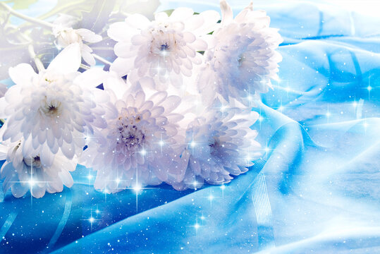white flower chrysanthemum with magic stars over blue background like romantic floral artistic wallart picture