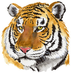 虎のリアルな斜め顔(水彩画)