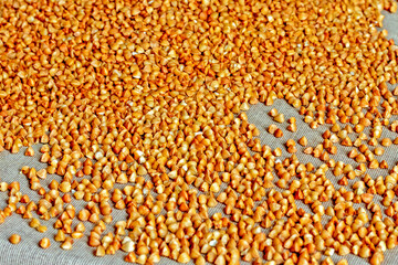 Scattered dry buckwheat on the table
