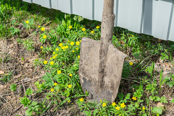 An agricultural shovel for gardening, leaning against a fence in the grass