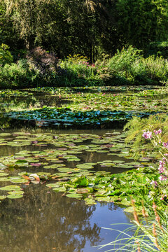 Picturesque pond in Giverny near Claude Monet building (famous French impressionist painter). GIVERNY, FRANCE.