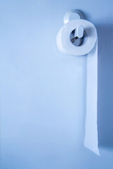 A Roll of Toilet Paper Hanging on a Toilet Paper Holder on white wall