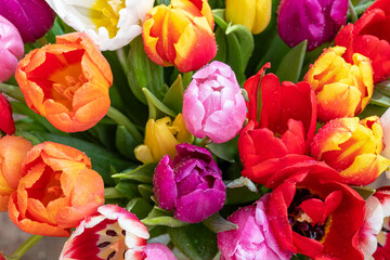 bunter Tulpenstrauß