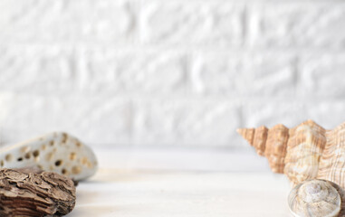 seashells and stone and pine bark on an empty scene. product display. summer vacation and holiday concept. space fo your design. holiday background. cosmetic product showcase.