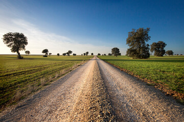 camino a ninguna parte en medio de un paisaje