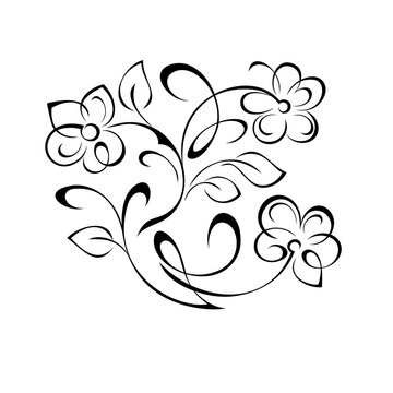 ornament 1513. decorative element with stylized flowers, leaves and curls in black lines on a white background