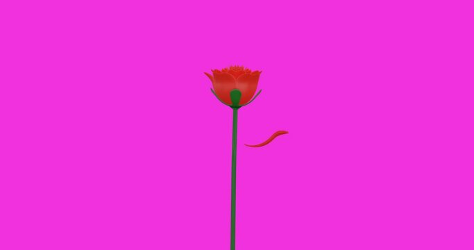 3D render of red rose petals falling on pink background, 3D illustration.