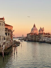 Fototapeta premium Venice, Italy - winter 2020: view on an empty Grand Canal and Basilica della Salute during sunset with seagull in the sky