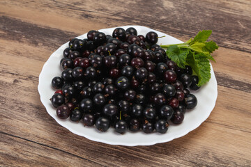 Fresh ripe sweet black currant