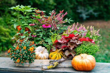 Herbstarrangement