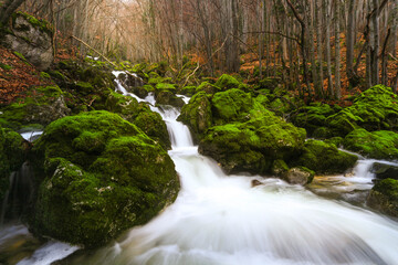 rivière dans une foret naturel  , Savoie  la Doria