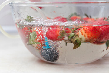 strawberry in a bowl with water with a round ozonating stone. Tubes leading to oxygen pump and ozone generator. ozonation fruit. Food disinfection with ozon.