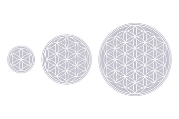 White Flower of Life, Core and Seed of Life over fields of gray. Geometric figures and spiritual symbols of the Sacred Geometry. Overlapping circles forming flower like patterns. Illustration. Vector.