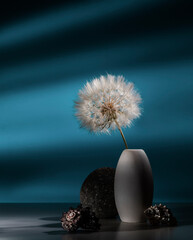 An image with a dandelion.