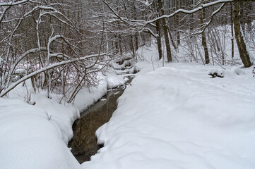 Stream in the winter forest.