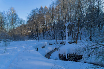 Stream in the winter forest.