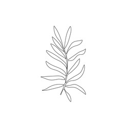 Vector Hand Drawn Line Art Drawing of Tropical Leaves. Botanical Minimalist Trendy Contemporary Drawing. Line Art Leaf for Wall Art, Prints, Social Media, Posters, Invitations, Branding Design.