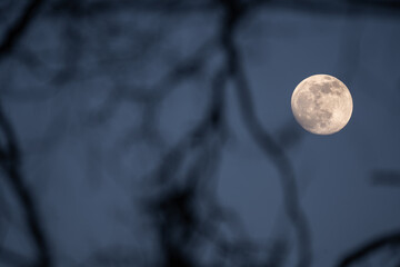 The moon in the blue hour.