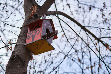 A wooden bird feeder is hanging on a tree