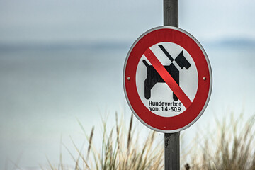 no dogs allowed