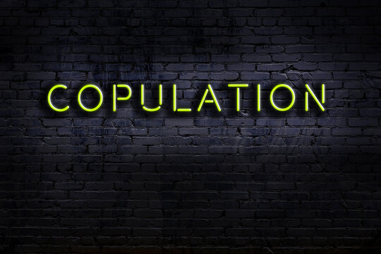 Neon sign. Word copulation against brick wall. Night view