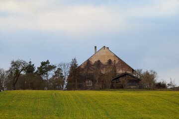 Fototapeta na wymiar Landscape. Yellow-green field. Village house. Blue sky with clouds. Sunset. Trees.