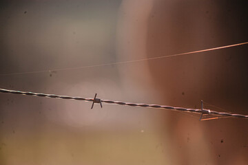 barbed wire fence