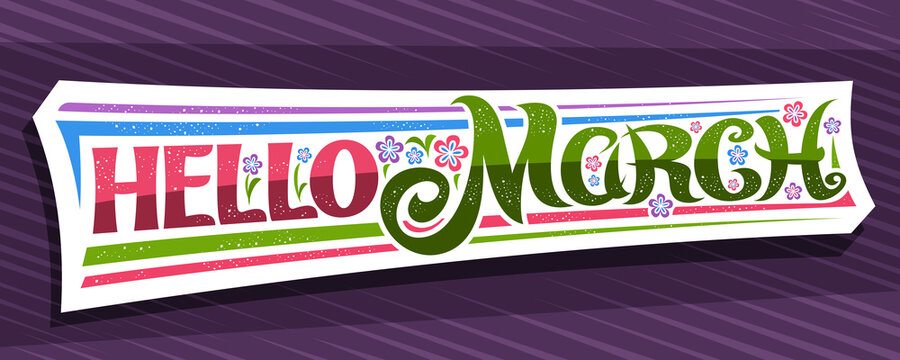 Vector banner Hello March, white modern label with curly calligraphic font, illustration of colorful flowers, decorative greeting card with unique swirly hand written lettering hello march on purple.