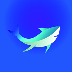 Illustration of blue shark in minimalism style