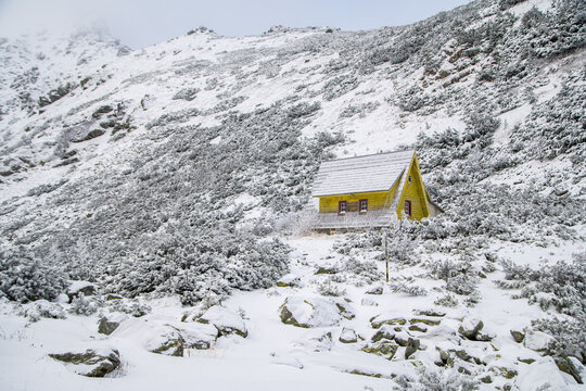 rodnei mountains in winter. Iezer region.