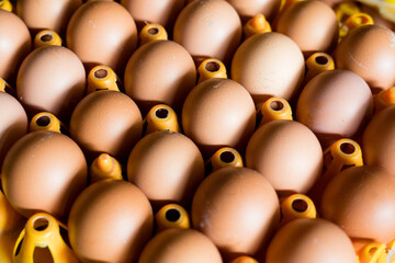Group of eggs produced by chicken farm in Indonesia