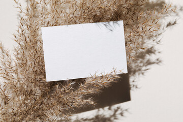 Mockup with blank paper business card and dried pampas grass over beige pastel background with trendy shadow and sunlight. Minimal business brand template. Flat lay, top view.