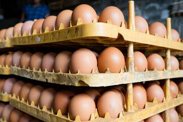 Group of eggs produced by chicken farm in Indonesia