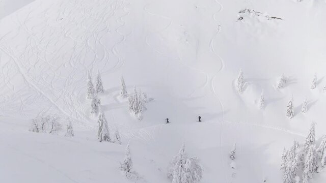 AERIAL: Active tourists on splitboarding trip trek along the side of a slope covered in powder snow. Spectacular flying view of the pristine white wintry mountain landscape surrounding two ski tourers